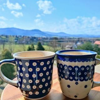 Apartamenty w Domu na Górce (2)