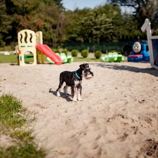 Krysiakowe Chatki Gąski (4)