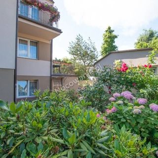 Kwatery prywatne u Krystyny Kołobrzeg (4)