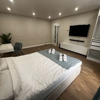 Apartament Urban Chic Timișoara (4)