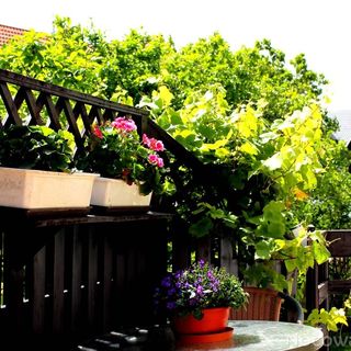 Pokoje Gościnne u Teresy Władysławowo (4)