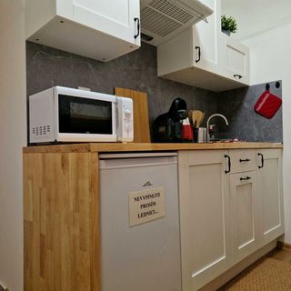 Apartmán Fanny IV Zlaté Hory (5)