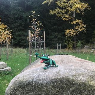 Chata Przystanek Izery Szklarska Poręba  (4)