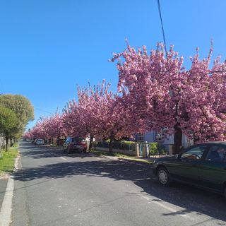 6Rooms Hévíz-Balaton Vendégház Hévíz (3)