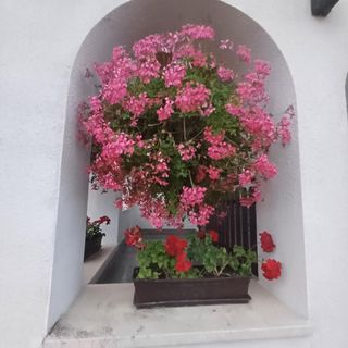 6Rooms Hévíz-Balaton Vendégház Hévíz (2)