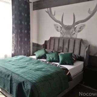 Apartament Vip Czarna Turnia Zakopane (4)