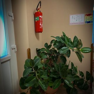 Napfény Liget Vendégház Csokvaomány (3)