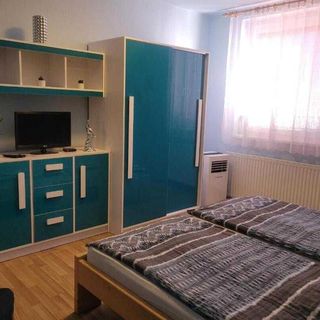 Penzion U Mikulinců Mikulov (4)