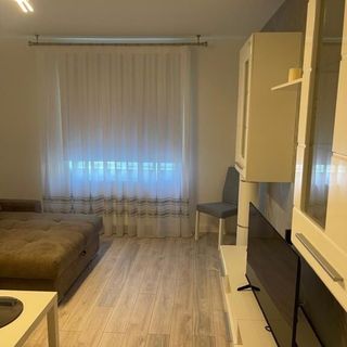 Apartament Încântător Roman (5)