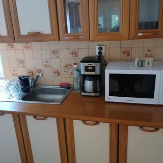 Pensiunea Ana Transalpina (5)