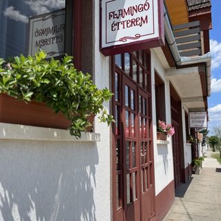 Flamingó Szállás Kiskunmajsa (2)