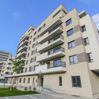 Apartament Mo Host Noua Brașov (2)
