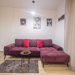 Apartament Mo Host Two Brașov (2)