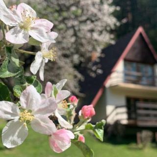 Domek u Pawła Piwniczna-Zdrój (4)