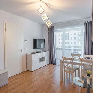 Apartament Mo Host Kasper 1 Brașov (3)