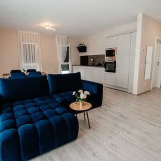 Sunset View Apartment Oradea (4)