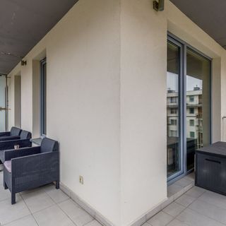 Osiedle Bursztynowe II 11C/16 (3)