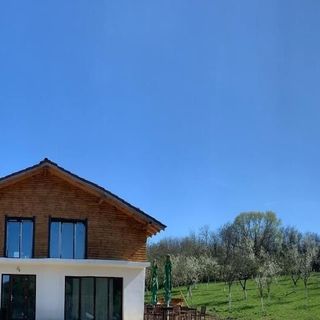 Pensiunea Lili’s House Buchin (2)