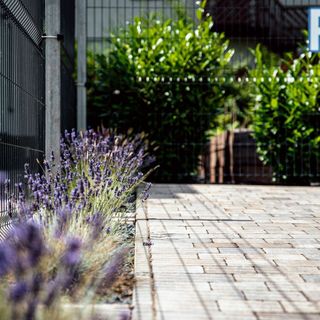 PusszantaLak Paloznak (4)