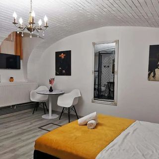 Apartament Athos Boutique Brașov (3)