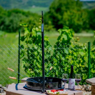 Orgona Vendégház Golop (3)