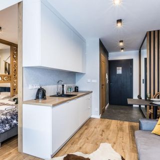 Białka Residence Ski - Apartament A16 (4)