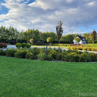 Lawendowy Dwór Mikoszewo (3)