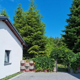 Domek pod Cisem - na wyłączność Kierzkowo (4)