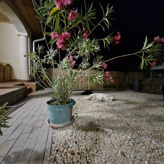 Berkenye Vendégház Varbó (5)