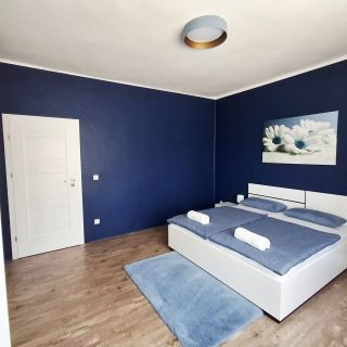 Szedermálna Vendégház Sárospatak (2)