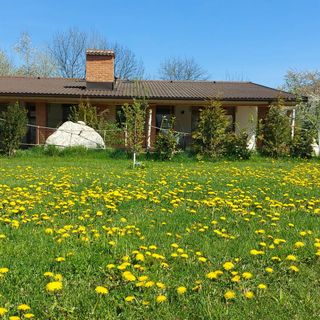 Thomhof Chalets Bran (5)