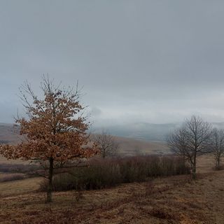 Trófeás Vendégház Kelemér  (3)