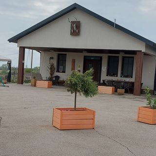 Trófeás Vendégház Kelemér  (4)