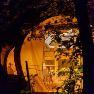 Dragonfly Gardens - The Wagons Brașov (5)