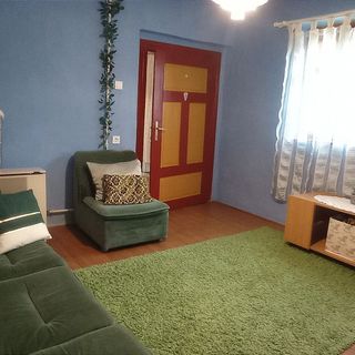 Póni Kuckó Vendégház és Minifarm Hosszúvölgy (4)