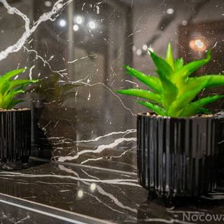 Domek Liszkówka Ciche (4)