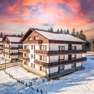 Albert Residence Grand Chalet with SPA Option Poiana Brașov (2)