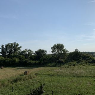 Fehér Orchidea Apartman Egerszalók (3)