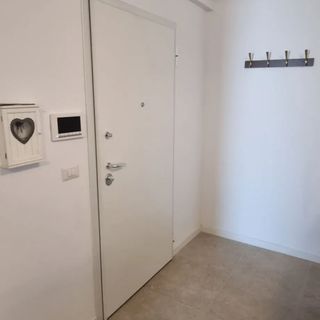 Ateneo Trevi Modern Apartment Big Terrace Timișoara (2)