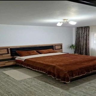 Apartament Manu Târgu Neamț (4)