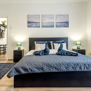 Riverside Apartment No1. Esztergom (4)