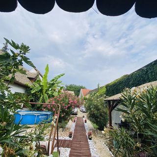 Kaméleon Ház Baja (5)