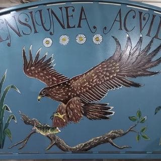 Pensiunea Acvila Dunavățu de Jos (3)