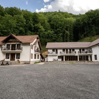 Vila Popasul Dacilor Grădiștea de Munte (3)