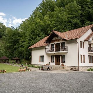 Vila Popasul Dacilor Grădiștea de Munte (4)
