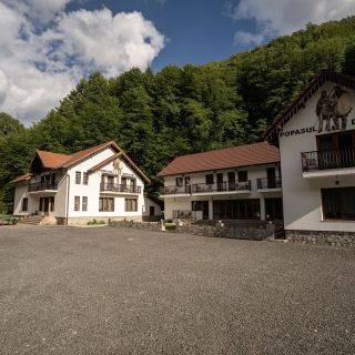 Vila Popasul Dacilor Grădiștea de Munte (2)