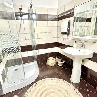 Home Central Apartment Sibiu (4)