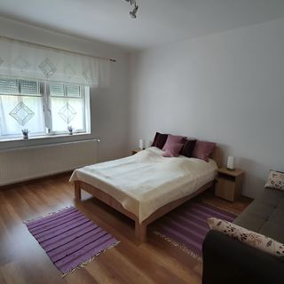 Junior Apartman Gyula (5)