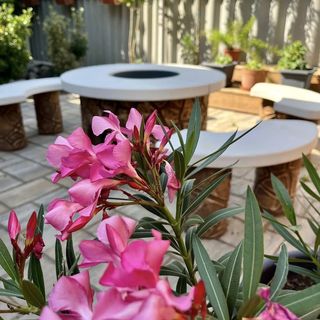 Apartman Merops Berekfürdő (3)