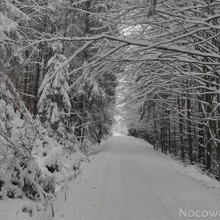Gościniec Śliwkula Jaworzynka (2)